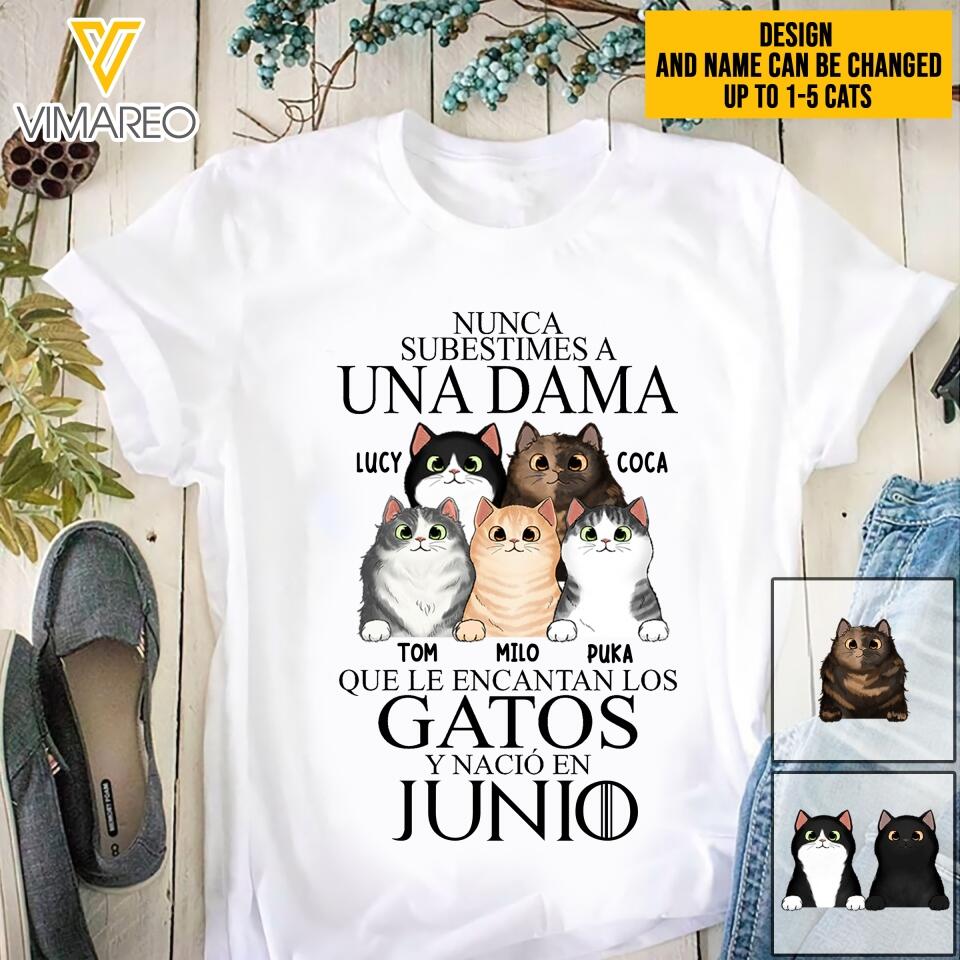 PERSONALIZED NUNCA SUBESTIMES A UNA DAMA QUE LE ENCANTAN LOS GATOS JUNIO TSHIRT QTTQ0504