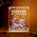 Personalized Grandma Mommy Auntie Like A Mom But Cooler Sea Turtle LED Night Light Acrylic LED Lamp Printed HQPN0707