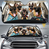 German Shepherd Dog Carshade AUG-MA11