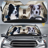 Border Collie Dog CFOW