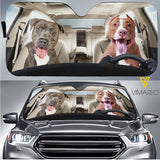 Pit Bull Dog CFOW