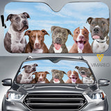 Pit Bull Dog CMEU