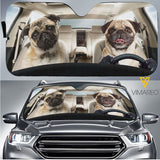 Pug Dog CFOW