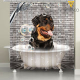 Rottweiler Dog SUER