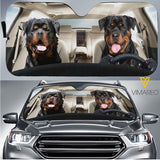 Rottweiler Dog CFOW
