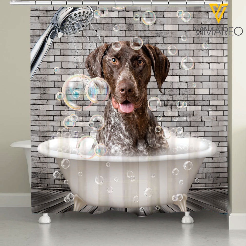 Shorthaired Pointer Dog SUER