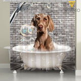 Weimaraner Dog SUER